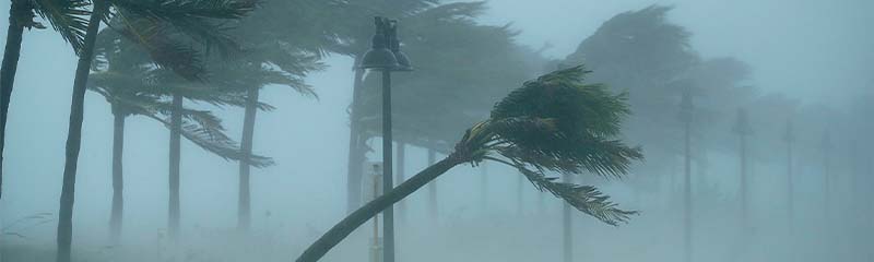 Звуки сильного Урагана