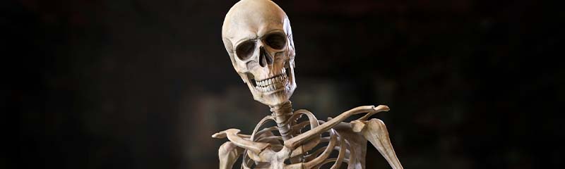 Звуки Скелета: хруст костей, ходьбы, удара, смерти